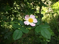 qua Rocca10062012 108